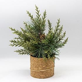 Декоративная композиция с хвоей и шишками Whisker 34 см