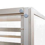 Шкаф шпилька для подносов Золотистый, фото 6