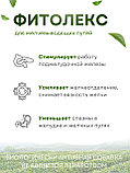 Фитолекс для желчевыводящих путей (чай желчный) 20 пакетиков 1,5 гр. х 3 шт., фото 2