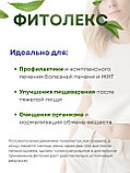 Фитолекс для желчевыводящих путей (чай желчный) 20 пакетиков 1,5 гр. х 3 шт., фото 6