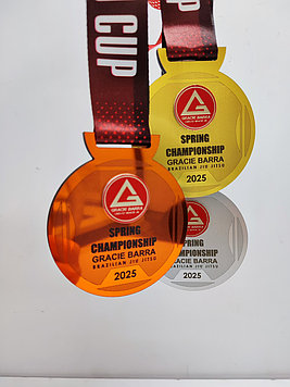 Спортивные медали по джиу-джитсу на заказ