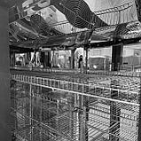 Витринный холодильник Cooled, фото 8