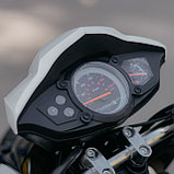 Скутер Cross 150 White, фото 8