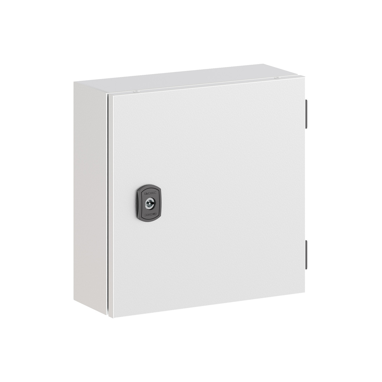 Корпус клеммный металлический SDE ВxШxГ 300x300x120 мм с дверцей, IP55 (R5SDE3312C), фото 1