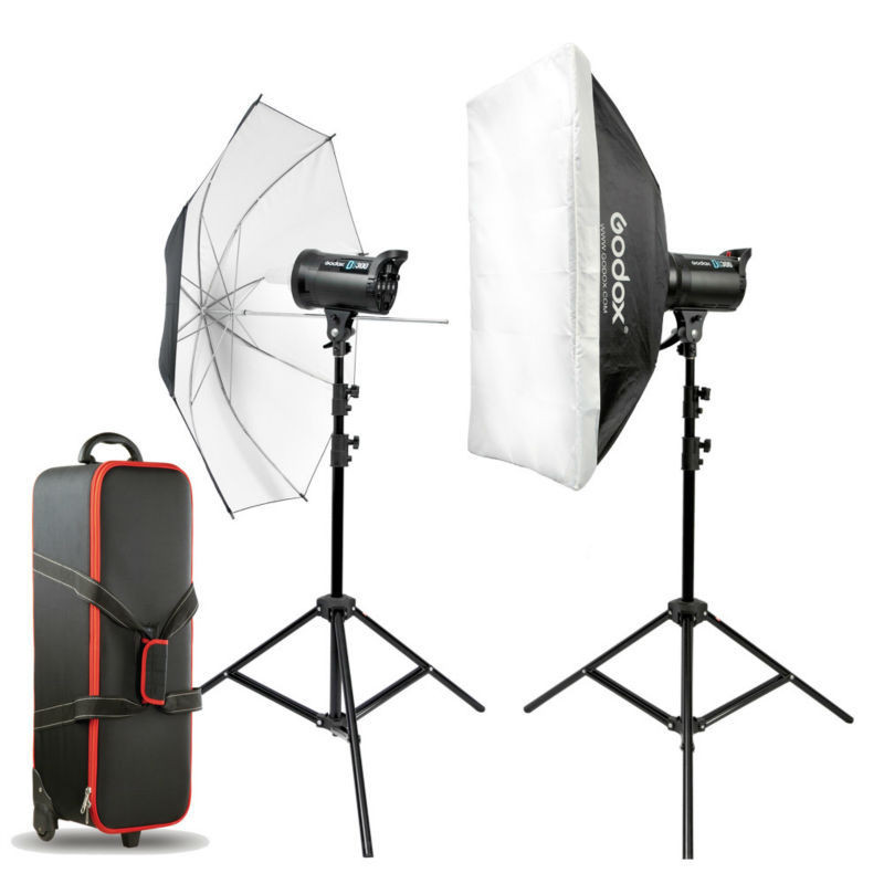 Комплект импульсного света Godox E Series(E300) Studio flash Kit