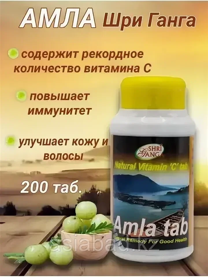 Shri Ganga Amla ( Амла ) простуда, грипп, иммунитет, 200 шт., фото 1