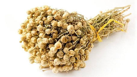 Ароматизаторы