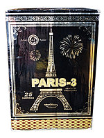 Салют "Paris-3"