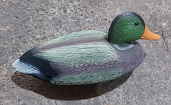 Чучело утка подсадная кряква, 34x18x16 см