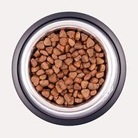 Unica Alleva Natura Mini salmon, rice and peas 1 кг, для взрослых мелких пород с лососем, рисом и горохом.