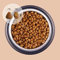 Unica Alleva Classe Gourmet Salmone 1 кг для привередливых кошек на лососе