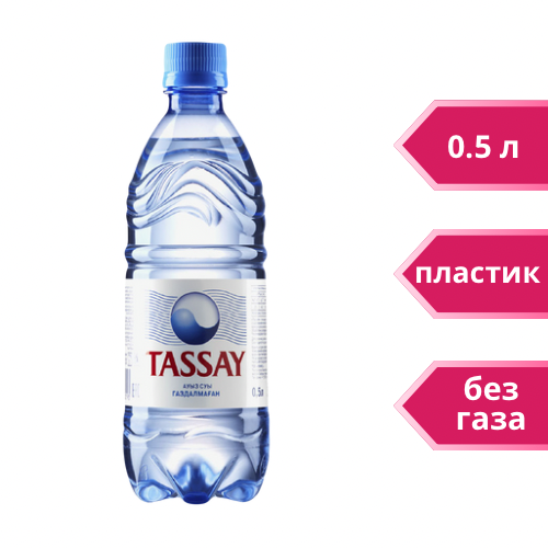 Вода негазированная питьевая Tassay без газа 0,5 л пластик