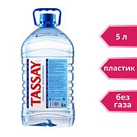 Минеральная вода TASSAY без газа, 5л, пластик