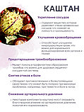 БАД Фитокомплекс "Каштан + Витамины для сосудов" 30 капсул, фото 5