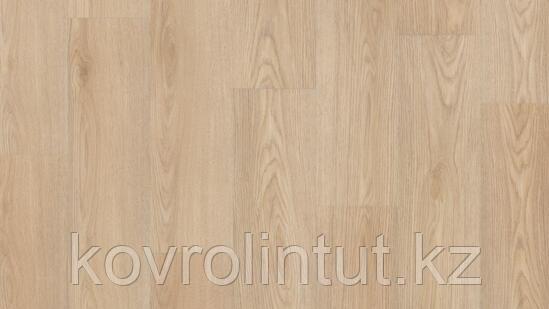 NEW AGE - ANIMA Арт винил, фото 1