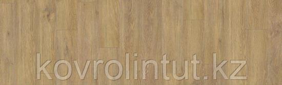 LOUNGE - IBIZA Арт винил, фото 1