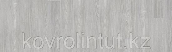 LOUNGE - STUDIO Арт винил, фото 1