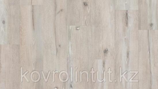 LOUNGE - NORA Арт винил, фото 1