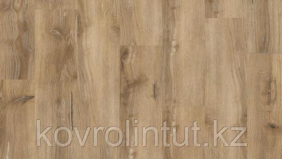 LOUNGE - PORTER, фото 1