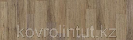 JAZZ - MARCUS Арт винил, фото 1