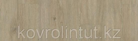 EPIC - KEVIN Арт винил, фото 1