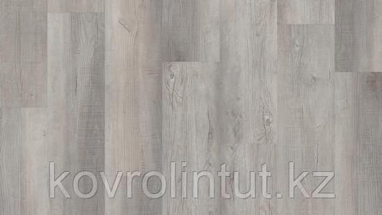 EPIC - EINAR Арт винил, фото 1