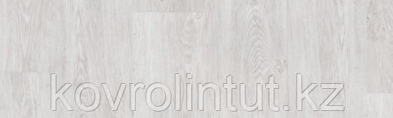 PROGRESSIVE HOUSE - ERIC Арт винил, фото 1