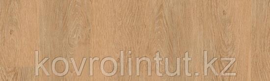 PROGRESSIVE HOUSE - JODY Арт винил, фото 1