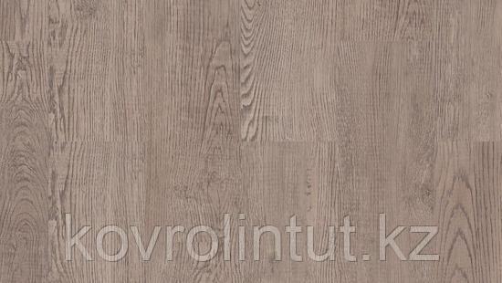 JAZZ CLICK - CALEB Арт винил, фото 1