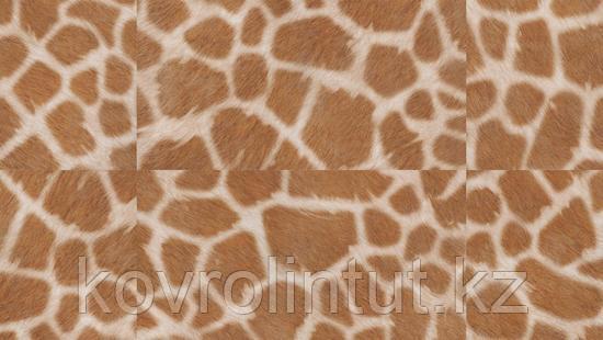 Lounge DJ - SANDER DJ Арт винил, фото 1