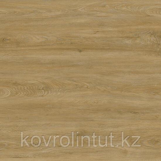 ID PRO GEN 55 - OAK NATURE  Арт винил, фото 1
