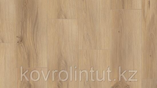 FUTURE HOUSE - JONAS Арт винил, фото 1