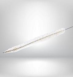 Ёрш для пипеток и бюреток, 400х160х10 мм