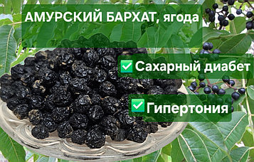 Амур барқыты - құрғақ жидек. 100 ГР