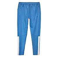 Купить Брюки мужские 4F Training