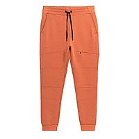 Купить Брюки мужские 4F Sportstyle