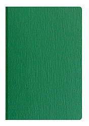 AGND Ежедневник CAPRI