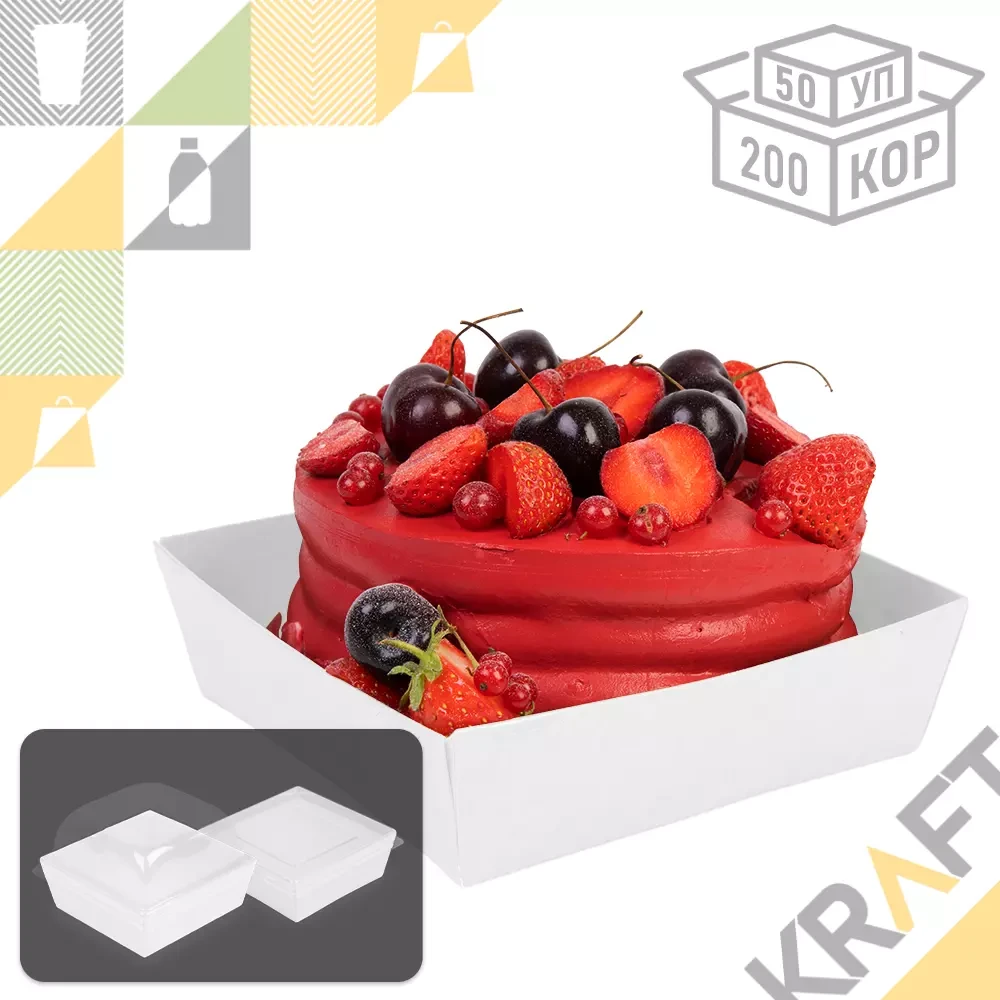 ForGenika SmartPack 900 W, Контейнер (50/200) (2400/4260), фото 1