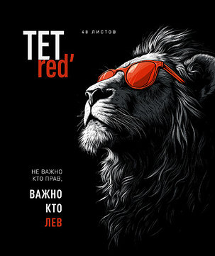 Тетрадь, общая 48л, клетка, скрепка, фото 2