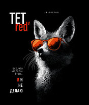 Тетрадь, общая 48л, клетка, скрепка, фото 3