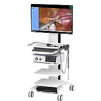 Эндоскопическая лор система Ikeda YKD-9102