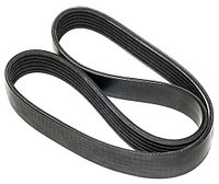 DAYCO ремень 10PK1512SHD