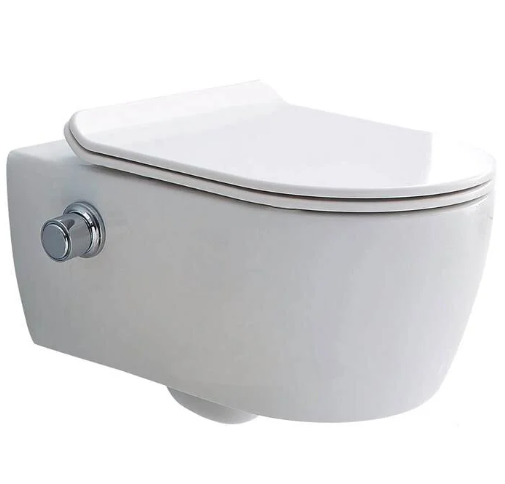 Унитаз-биде подвесной SSWW CT2039V-B