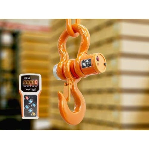 Крановые весы ВЭК/5-20000, фото 1