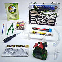 Муравьиная ферма и Муравьи ANTsFARM | Формикарий и жнецы | Набор TERRA