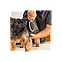 Щётка для кошек и собак "Wahl Animalline - Two-Sided Brush", двухсторонняя., фото 2