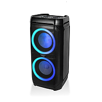 Беспроводная Bluetooth колонка ttec Carnival 100W