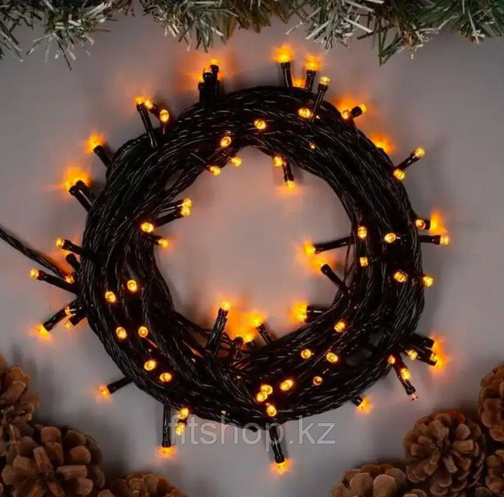 Гирлянда нить 10 Метров Шампань