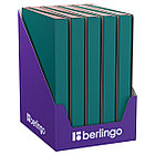 Папка с 60 вкладышами Berlingo "Soft Touch Pro", 30мм, 700мкм, с внутр. карманом, зеленая, внутр. ро, фото 4