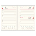 Ежедневник датированный 2026г., А5, 176л., твердый переплет, кожзам, Greenwich Line "High Art. Donoh, фото 8